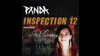 Inspection 12 ft. PXNDX - Elegy/Mi huracán llevaba tu nombre