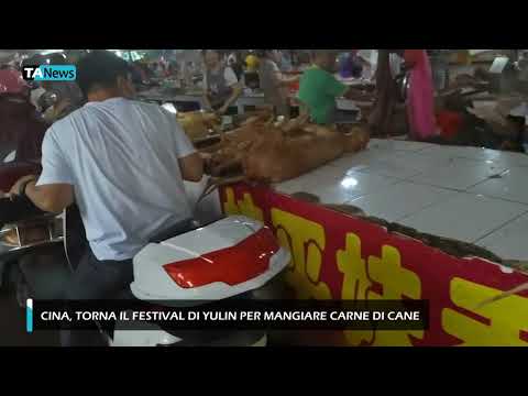 Yulin Dog Meat Festival Returns in China