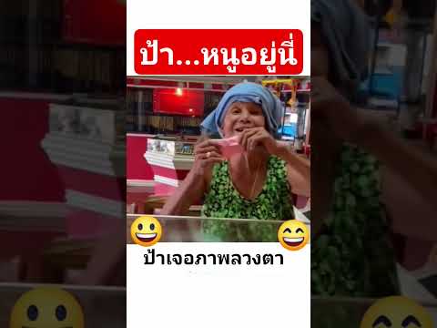 ป้าหนูอยู่นี่ #2569 #funny #funny #ตลก #automobile #comedy #pets #puppy #petlover