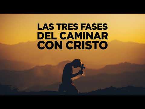 Niégate a ti mismo, toma tu cruz y sigue a Cristo