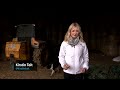 STV NEWS Mental Health In Farming
