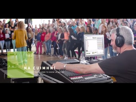 Na Cuimhní - "Somebody That I Used To Know" le GOTYE as Gaeilge