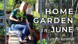 The Home Garden in June