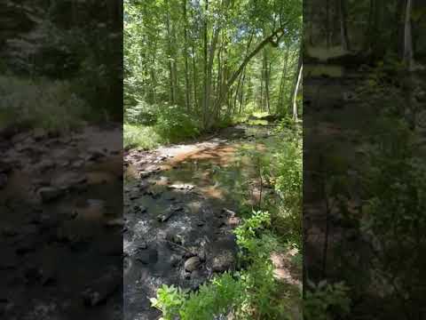 The Little Aughwick Creek, South Branch