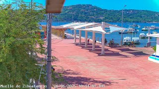 🔴 Zihuatanejo - En vivo Muelle Principal live webcam