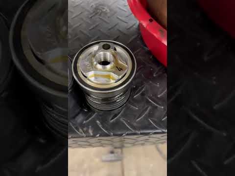 Reusable oil filter. Anyone use them? Like and dislike on it.