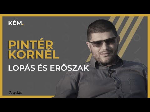 Pincér/KÉM- PINTÉR: Lopás És Erőszak // Bar(SPY)Tender- PINTER: Theft And Violence