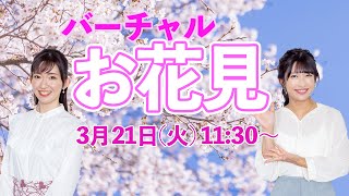 【お花見シーズン到来】バーチャルお花見 〜東京の桜を楽しもう〜 /2023.3.21.11:30