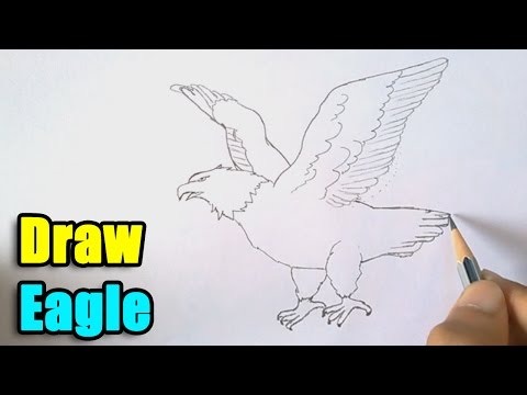 How to Draw a Eagle - YouTube