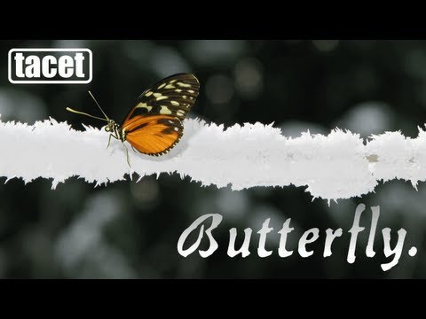 Tacet - Butterfly