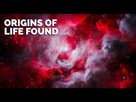 How the Universe Created Life,  the Stars, Galaxies and Astrobiology #universe #documentary #space