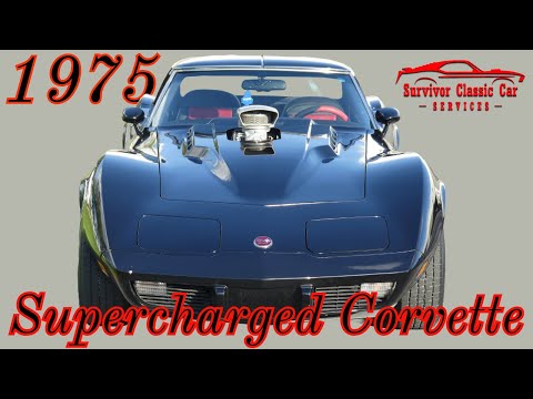 1975 Chevrolet Corvette (CC-1901675) for sale in Palmetto, Florida