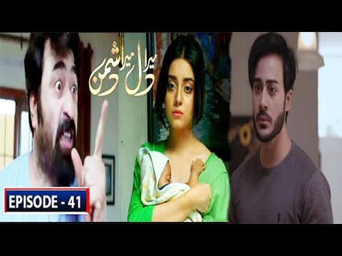 Mera Dil Mara Dushman Episode 41 | Mera Dil Mara Dushman Episode 41 Promo | Review