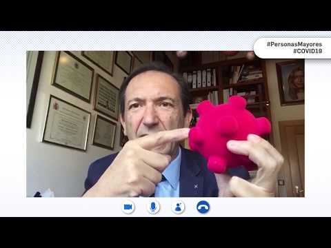 ¿Por qué el virus de la COVID-19 se llama coronavirus? ¿Cómo se comporta?