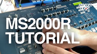 Video thumbnail for Korg MS2000r - One Synth Challenge: Creating a track using only one synthesizer by Random Noise