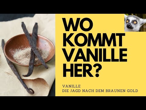 Vanille - Jagd nach dem braunen Gold