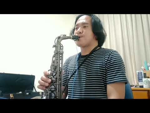 My Heart Will Go on - [Celine Dion] - Alto sax cover
