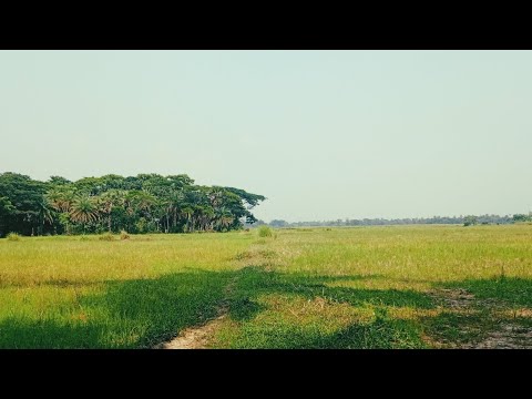 My Village Sides# nature🌿🍃 Beauty# Shantanu# Short#