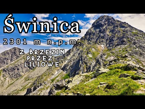 Świnica 2301 m n.p.m. z Brzezin przez Liliowe