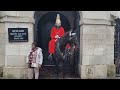 The Horse Putting Its Ears Back Angry Horseguardsparade