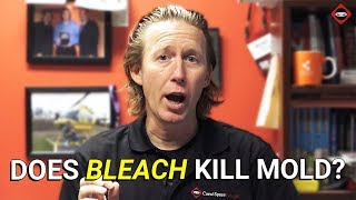 Does Bleach Kill Mold? | How To Kill Mold In Crawl Space | Mold Remediation