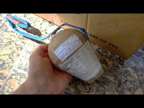 100mm Cycas Palme Blau | Blackboxx