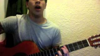Did You Miss Me Cover, (Lindsey Buckingham) Guitar Only