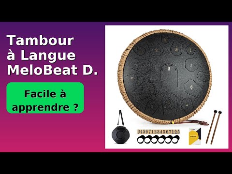 AVIS (2025) : Tambour à Langue MeloBeat D. DÉTAILS ESSENTIELS