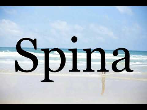 How To Pronounce Spina🌈🌈🌈🌈🌈🌈Pronunciation Of Spina