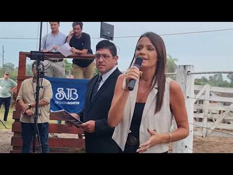 Bella Vista abrió el circuito 2026 de remates para pequeños productores