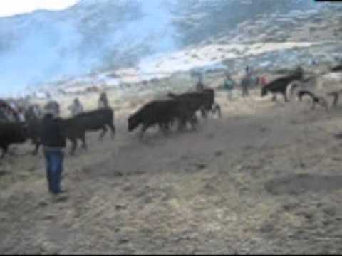 RODEO - PACARAOS 2011