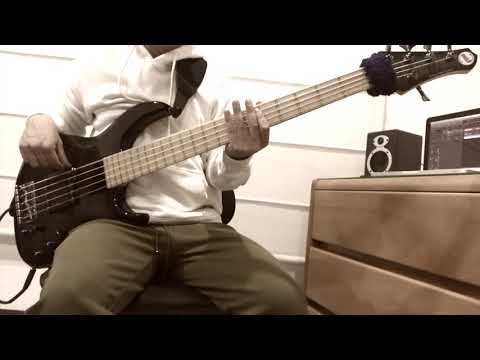 LENA SCISSORHANDS ft. CHASE THE COMET - All The Things She Said (Bass Cover) Instagram @jwagnerbass