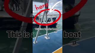 tender boat, and how do we get to land out in the middle of the ocean #carnivalcruise #cruise