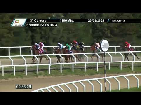210226 c03 - YO TE DIJE   - HIPODROMO LAS PIEDRAS