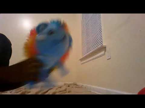 jamarion sun max jr  song