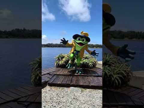 Sapo Ruperto cobra vida en el Arroyos Solis Chico #saporuperto