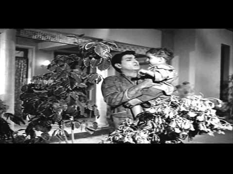 Zamindar Movie (1965) | Kasturi Ranga Ranga Video Song | Nageswara Rao, Krishna Kumari