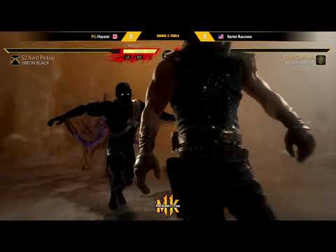 HAYATEI vs BARTER RACCOON EVO DAY 2 2019