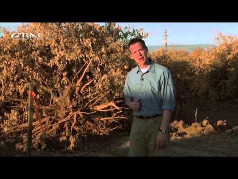 CBN News Today: December 2, 2014