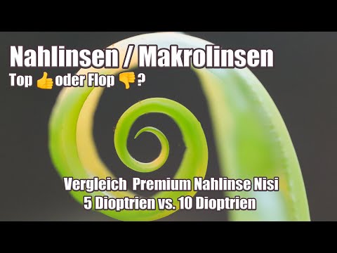 Nahlinse / Makrolinse: Guter und günstiger Einstieg in die Welt der Makrofotografie?