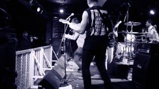 COVES - Could've, Would've (Live)