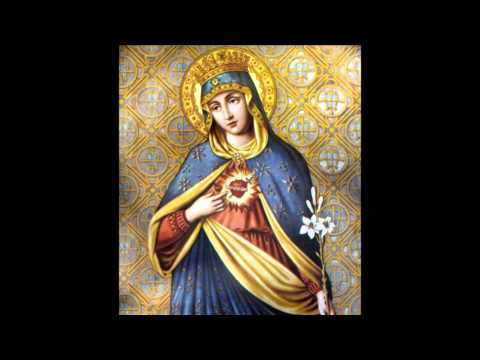 Imaculada Maria de Deus - MÚSICA PARA MISSA