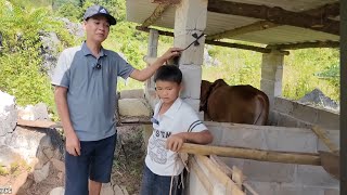 Phung's Grandson Discovered His Grandfather Lying Outside The Cow Pen And Quietly Left For This R...