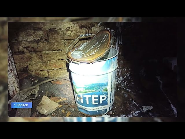 Задохнулись от запаха краски