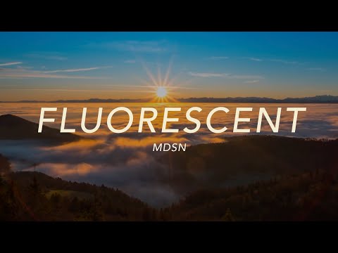 Thumbnail for Fluorescent  video