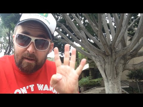 TDW 1134 - Four Years Today Ago I Changed My Life !