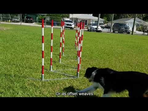 Demo 1