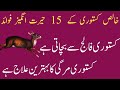16 Amazing Benefits Of Pure Deer Musk | Kasturi K Fayde In Urdu Hindi | کستوری کے فوائد اور استعما