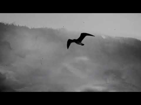 LERA LYNN // MY LEAST FAVORITE LIFE [Official Lyric Video]