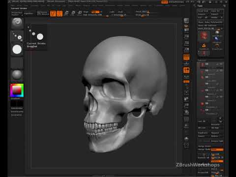Z BRUSH TUTORIAL/FORENSIC 5 TO 10 MM/VIDEO _14